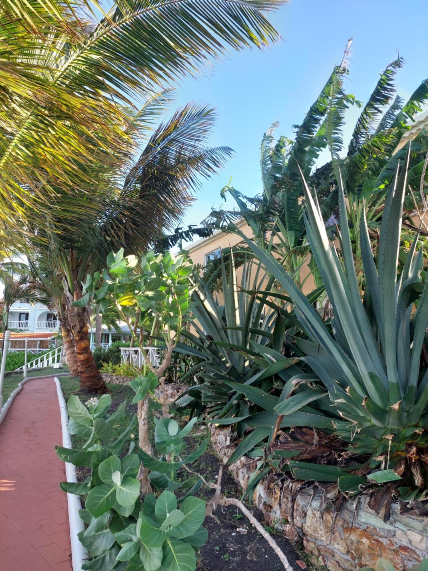 Northshore Seaside Suites St. John's Zewnętrze zdjęcie