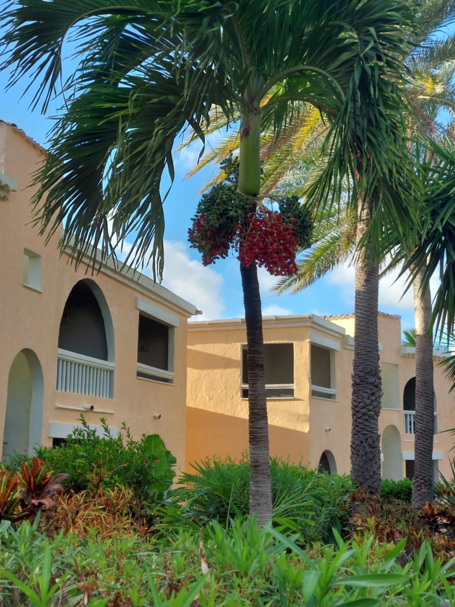 Northshore Seaside Suites St. John's Zewnętrze zdjęcie