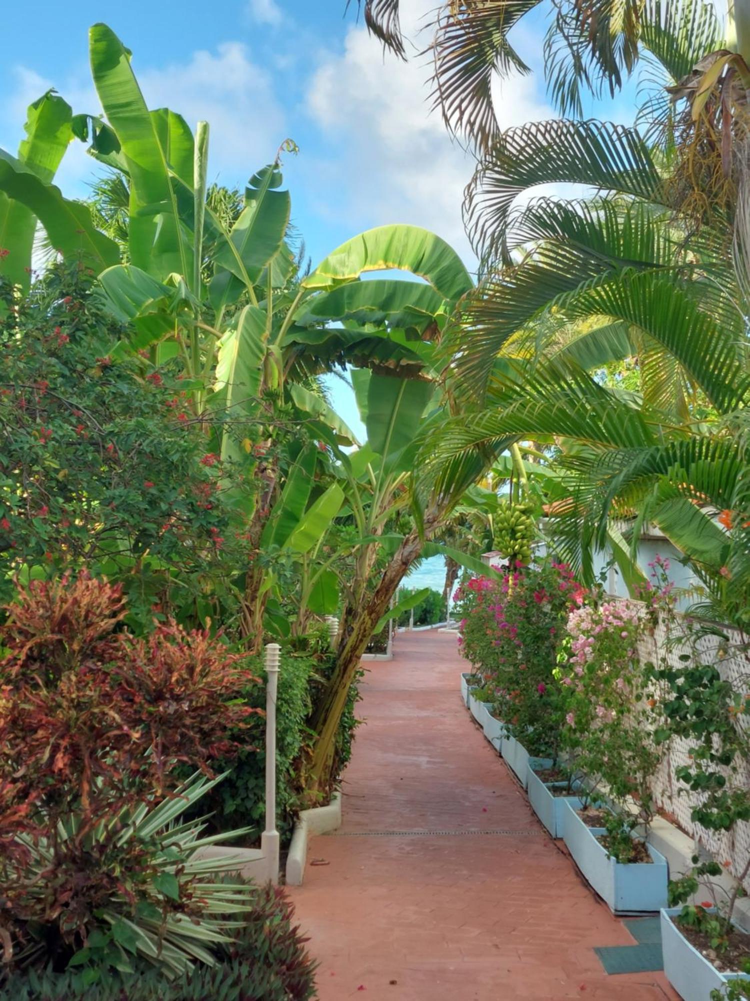 Northshore Seaside Suites St. John's Zewnętrze zdjęcie
