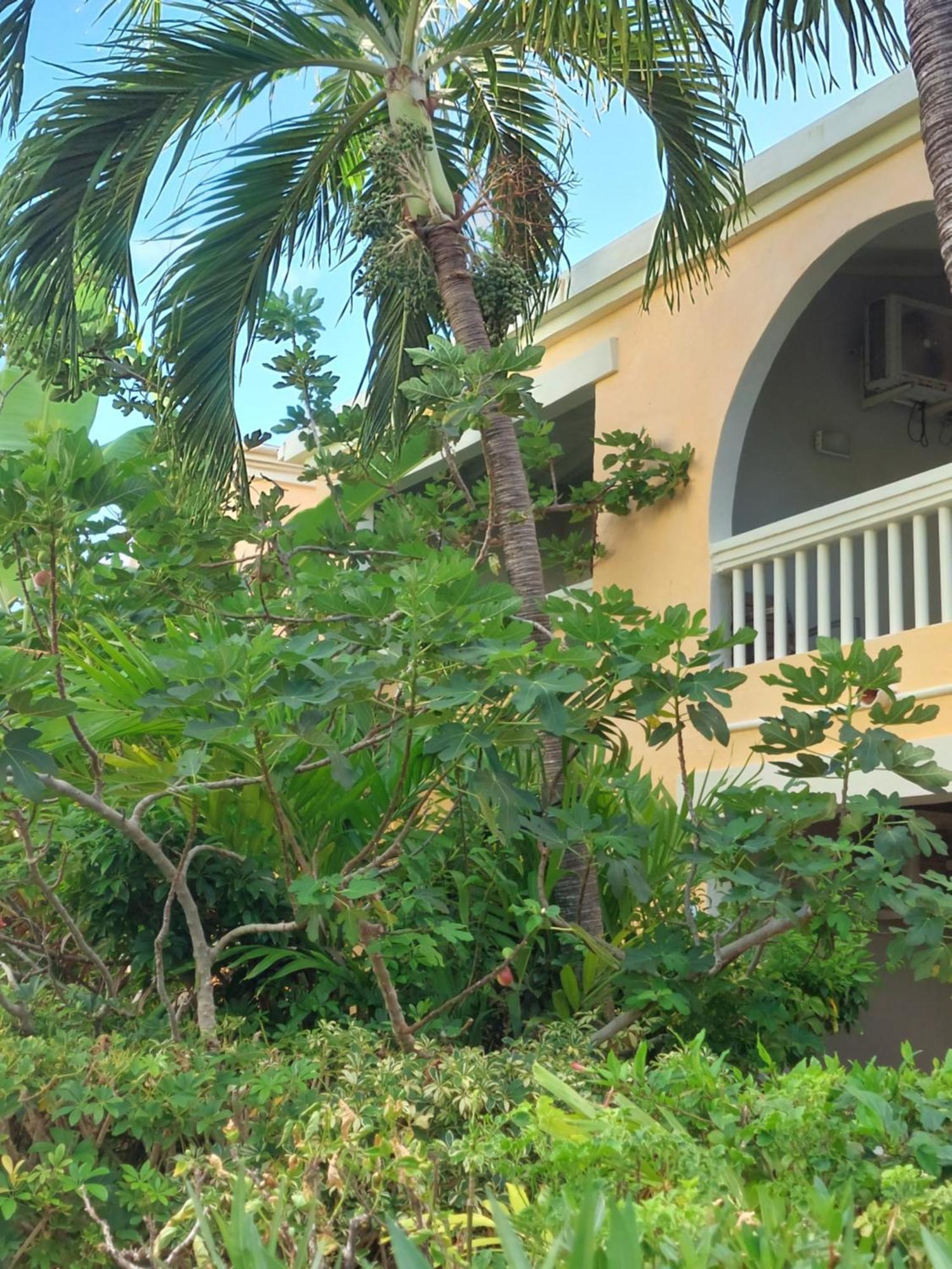 Northshore Seaside Suites St. John's Zewnętrze zdjęcie